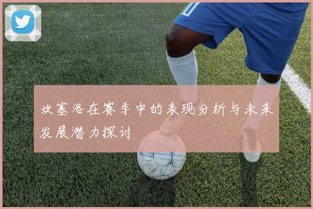 坎塞洛在赛季中的表现分析与未来发展潜力探讨