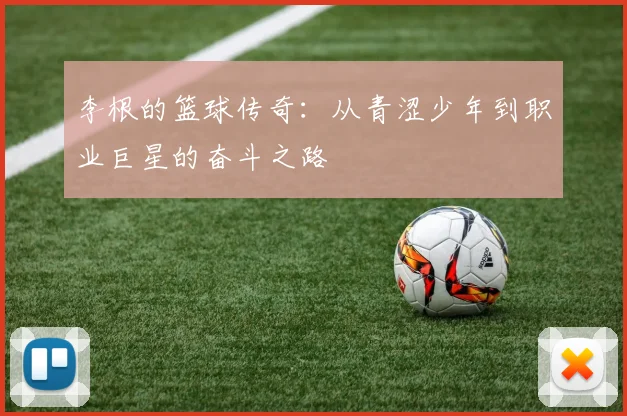李根的篮球传奇：从青涩少年到职业巨星的奋斗之路