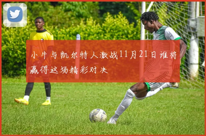 小牛与凯尔特人激战11月21日谁将赢得这场精彩对决