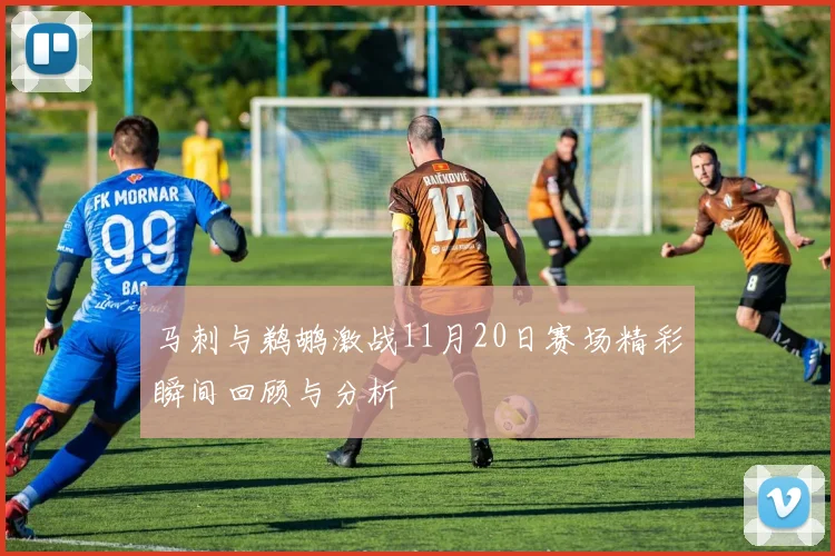 马刺与鹈鹕激战11月20日赛场精彩瞬间回顾与分析